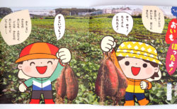 みてみて！9月号「おいもほったよ」